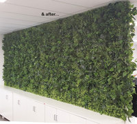Office Greenery Solutions...fast!