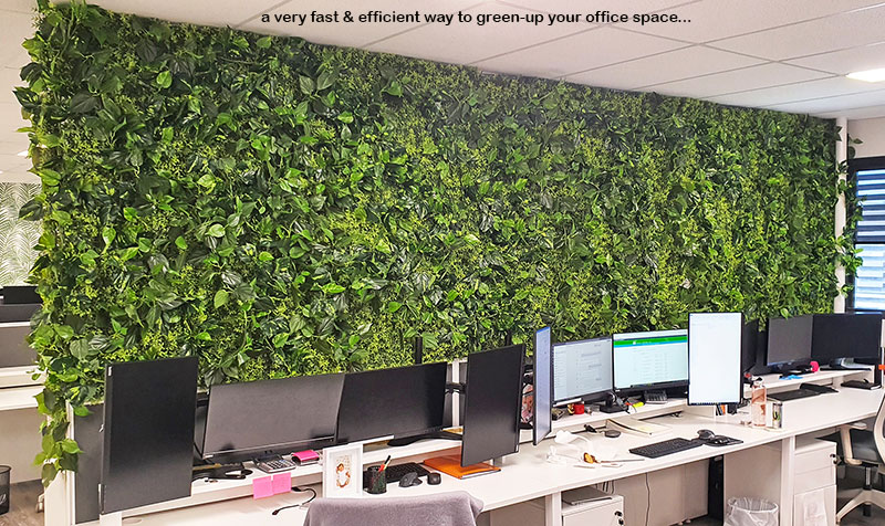 Office Greenery Solutions...fast! image 9