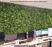 Office Greenery Solutions...fast!