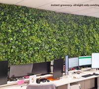Office Greenery Solutions...fast!