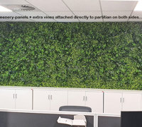 Office Greenery Solutions...fast!