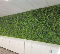 Office Greenery Solutions...fast!
