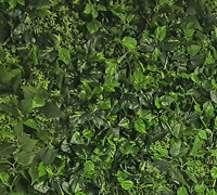 Office Greenery Solutions...fast!