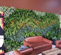 Before & After Shots..... Green-Walls 4