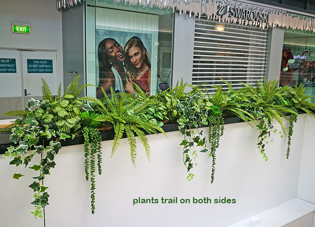Kiosk in mall gets green 'finishing touch' image 3