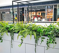 Kiosk in mall gets green 'finishing touch'