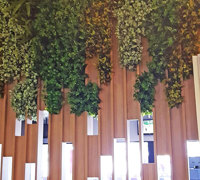 Before & After Shots..... Green-Walls 4