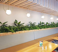 Before & After Shots...... low Planters 2