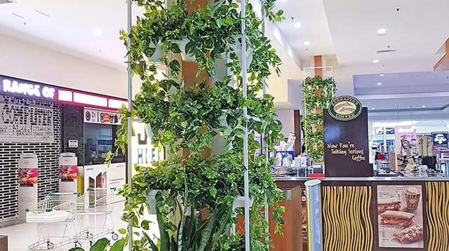 Greenery Trellis in mall freshens-up food court...