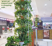 Greenery Trellis in mall freshens-up food court...