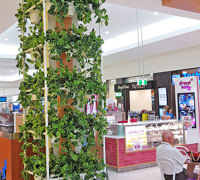 Greenery Trellis in mall freshens-up food court...