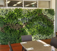 Before & After Shots..... Green-Walls 4