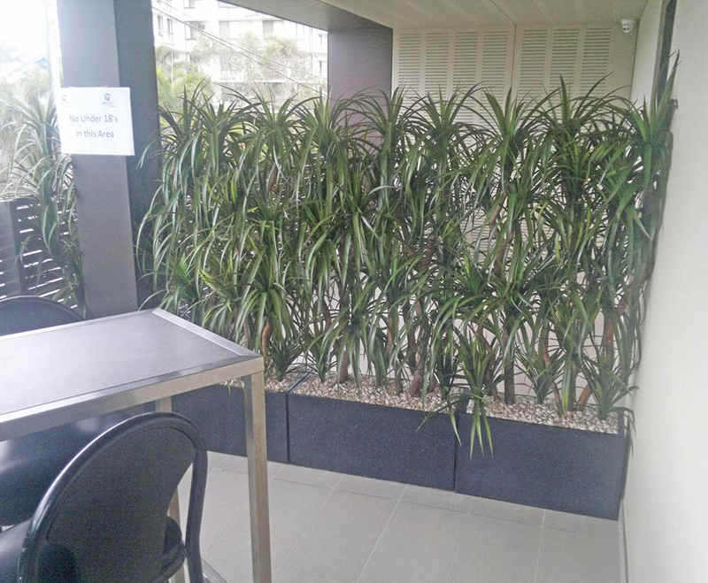 DOSA barrier with solid wall of trough planter greenery 