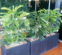 Planter re-furb @ Football Club