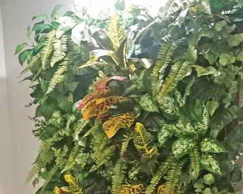 Green-Wall Settings