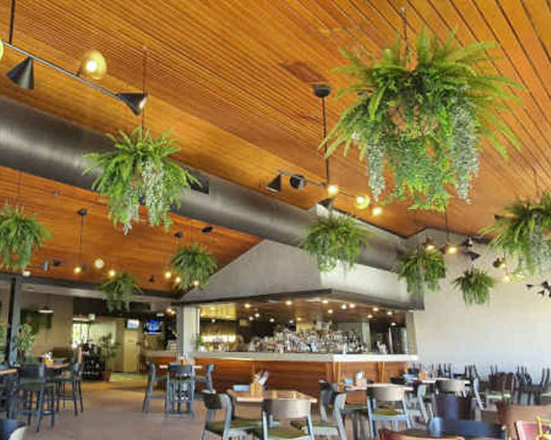 Wall & Hanging Basket Settings