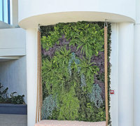 Latest stand-out Venue revamp at Kangaroo Pt, Brisbane & greenery flows...