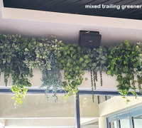 Latest stand-out Venue revamp at Kangaroo Pt, Brisbane & greenery flows...
