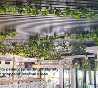 Latest stand-out Venue revamp at Kangaroo Pt, Brisbane & greenery flows...