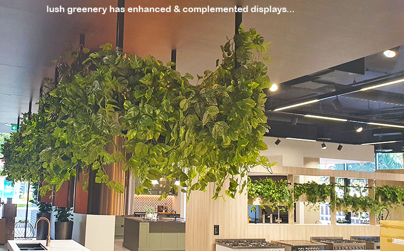 Greenery complements Builder's stunning new Display Centre... image 11