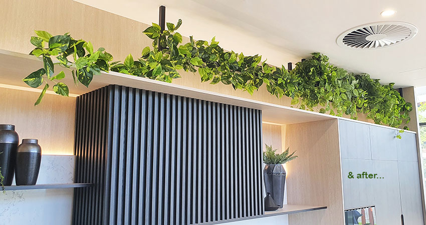 Greenery complements Builder's stunning new Display Centre... image 9