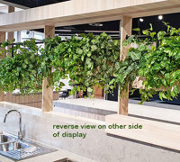 Greenery complements Builder's stunning new Display Centre...
