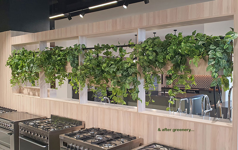Greenery complements Builder's stunning new Display Centre... image 3