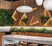 Modern Japanese Restaurant- re-imagined using a green-theme...