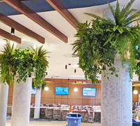 Greenery is 'star player' in fabulous new Football Club refurb...