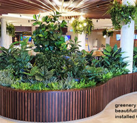 Greenery is 'star player' in fabulous new Football Club refurb...