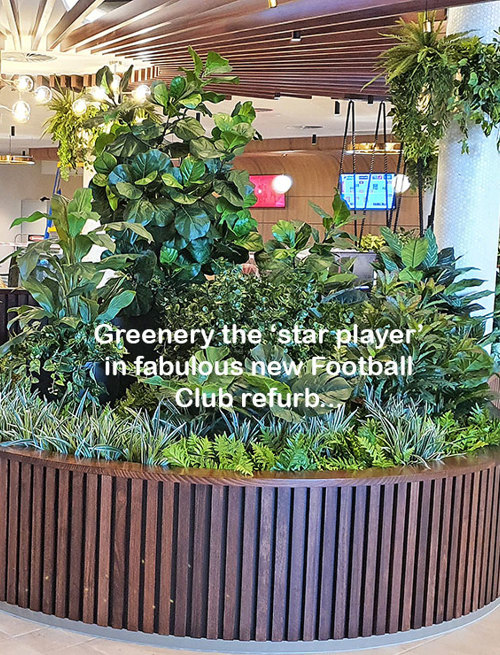 Greenery is 'star player' in fabulous new Football Club refurb...