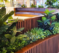 Greenery is 'star player' in fabulous new Football Club refurb...