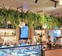 Greenery is 'star player' in fabulous new Football Club refurb...