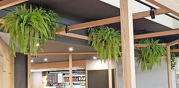 Hanging Baskets- Artificial Ferns (large)