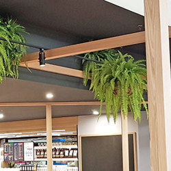 Hanging Baskets- Artificial Ferns (large) - artificial plants, flowers & trees - image 5