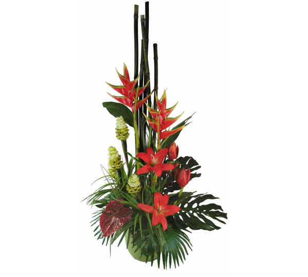 Tropical Floral- heliconias