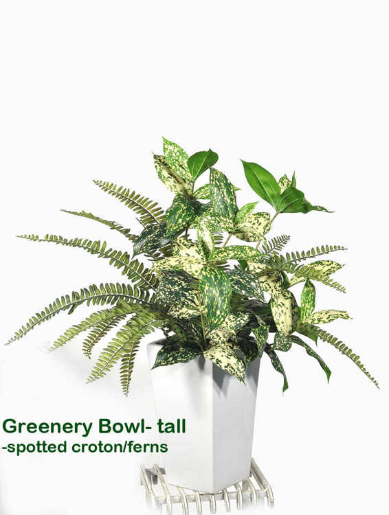 Articial Plants - Greenery Bowls- spotted Croton & Fern mix