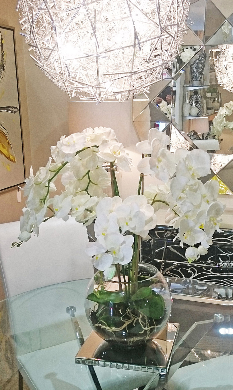 Orchid in Glass Bowls
