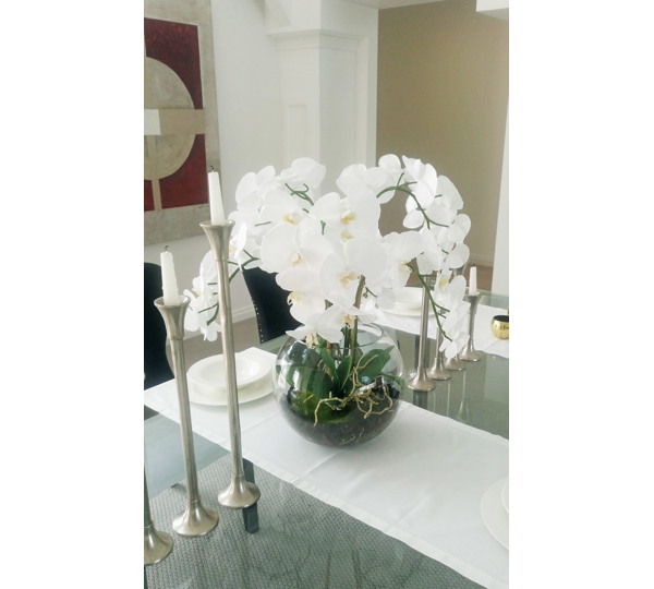 Orchid in Glass Bowls