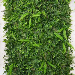 Wall-Panels Ivy/Fern UV panel x4 [approx 1m2] - artificial plants, flowers & trees - image 2