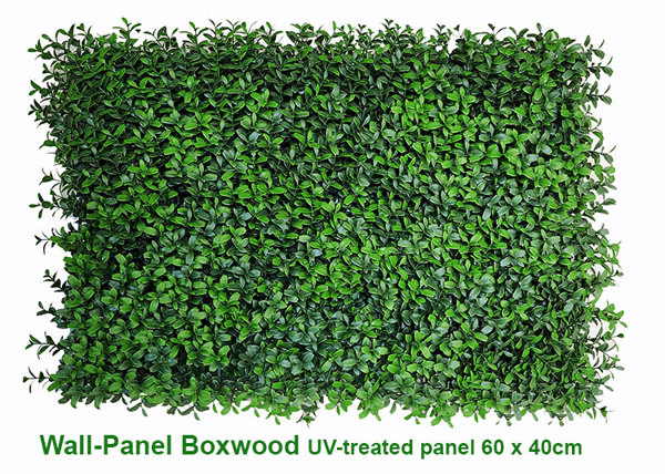 Articial Plants - Wall-Panels Boxwood UV panel x4 [approx 1m2] 