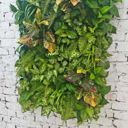 Living Walls- deluxe 120 x 120cm - artificial plants, flowers & trees - image 9