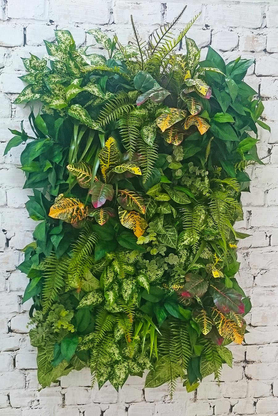 Living Walls- deluxe 180 x 150cm