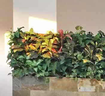 Living Walls- deluxe 180 x 150cm