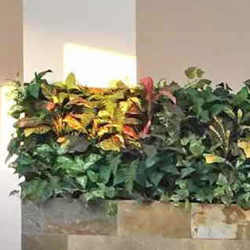 Living Walls- deluxe 180 x 150cm - artificial plants, flowers & trees - image 4