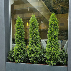 Cypress Pine 1.8M - artificial plants, flowers & trees - image 1
