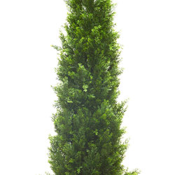 Tower Pine 1.8m UV  - artificial plants, flowers & trees - image 8
