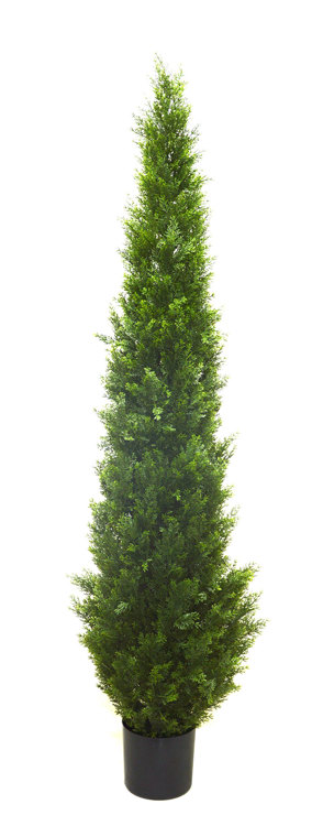 Articial Plants - Tower Pine 1.8m UV 
