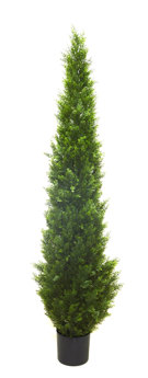 Tower Pine 1.8m UV 