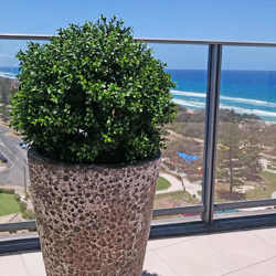 Boxwood Topiary 55cm UV - artificial plants, flowers & trees - image 3